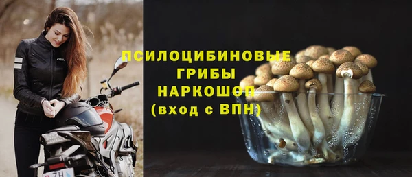 jwh Бородино