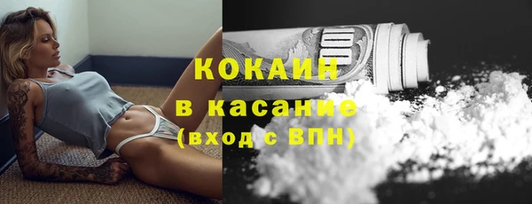 гидра Бронницы