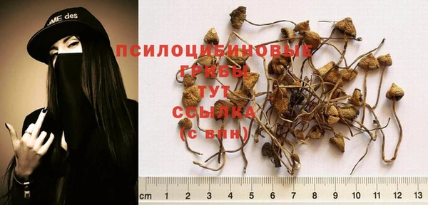 МДМА Бугульма