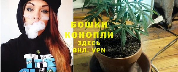 СК Верея