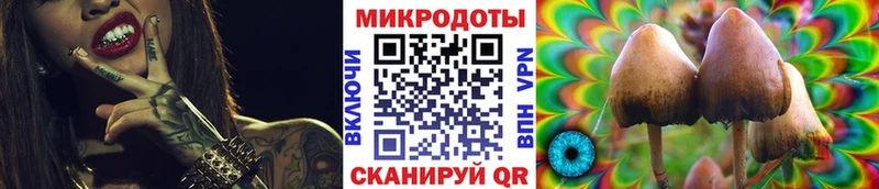 Купить  Кузнецк  Галлюциногенные грибы прущие грибы 