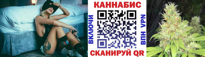 Купить закладки  Кузнецк  Бошки марихуана сатива 